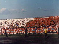 gal/1999-2000/proleter_zvezda/_thb_proleter_zvezda_koreo.jpg
